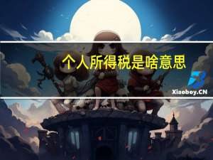 个人所得税是啥意思