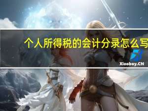 个人所得税的会计分录怎么写
