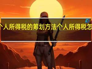 个人所得税的筹划方法 个人所得税怎样筹划