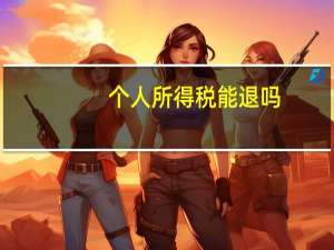 个人所得税能退吗