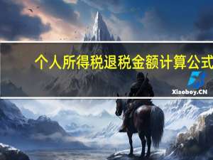 个人所得税退税金额计算公式