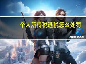 个人所得税逃税怎么处罚