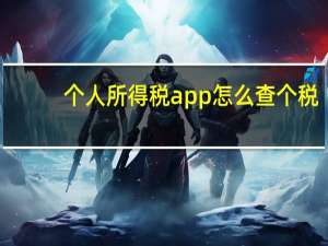 个人所得税app怎么查个税