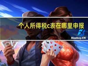 个人所得税c表在哪里申报