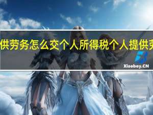 个人提供劳务怎么交个人所得税个人提供劳务怎么交税
