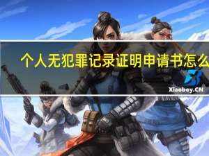 个人无犯罪记录证明申请书怎么写