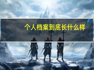 个人档案到底长什么样