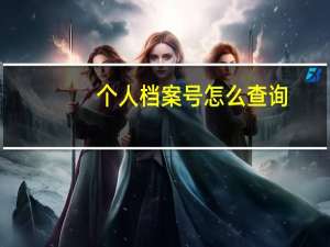个人档案号怎么查询