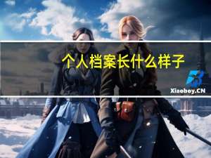 个人档案长什么样子