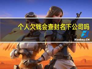 个人欠钱会查封名下公司吗