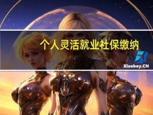 个人灵活就业社保缴纳
