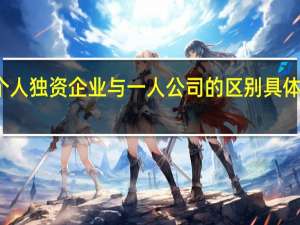 个人独资企业与一人公司的区别具体是什么
