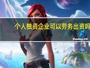 个人独资企业可以劳务出资吗