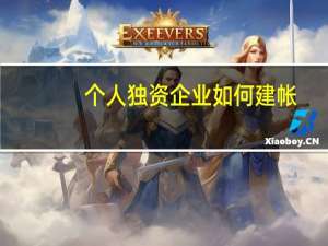 个人独资企业如何建帐