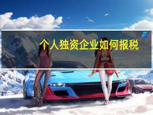 个人独资企业如何报税