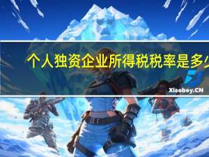 个人独资企业所得税税率是多少