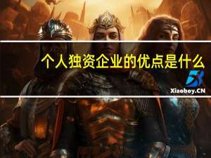 个人独资企业的优点是什么