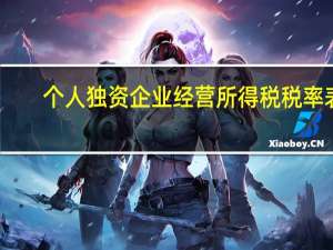 个人独资企业经营所得税税率表