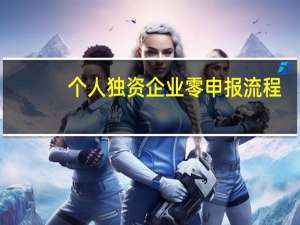 个人独资企业零申报流程