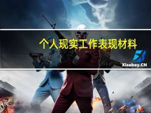 个人现实工作表现材料