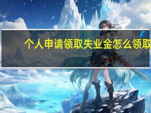 个人申请领取失业金怎么领取