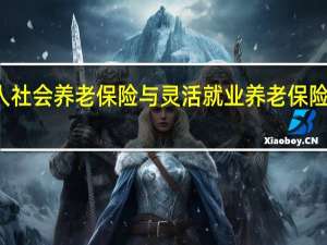 个人社会养老保险与灵活就业养老保险有啥区别