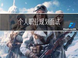 个人职业规划面试（个人职业规划）