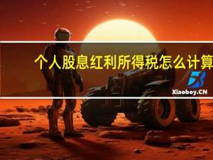 个人股息红利所得税怎么计算