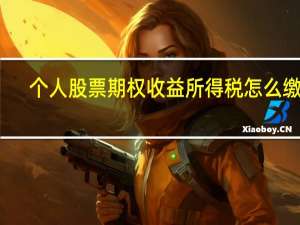 个人股票期权收益所得税怎么缴纳_