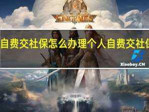 个人自费交社保怎么办理 个人自费交社保如何办理
