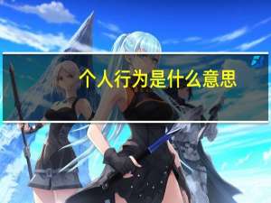个人行为是什么意思