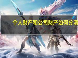 个人财产和公司财产如何分清