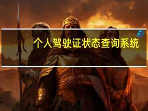 个人驾驶证状态查询系统（个人驾驶证状态查询）