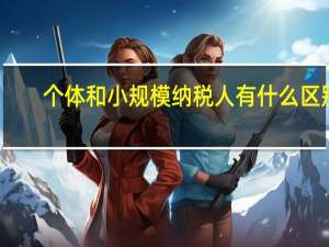 个体和小规模纳税人有什么区别