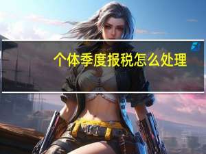 个体季度报税怎么处理