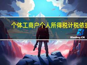 个体工商户个人所得税计税依据（个体工商户个人所得税计算公式）