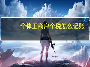 个体工商户个税怎么记账（个体工商户个税）