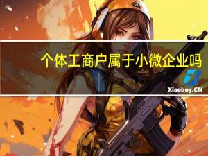 个体工商户属于小微企业吗