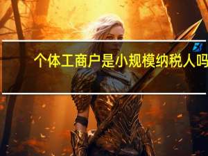 个体工商户是小规模纳税人吗