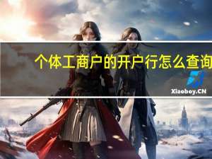 个体工商户的开户行怎么查询