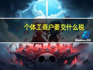 个体工商户要交什么税
