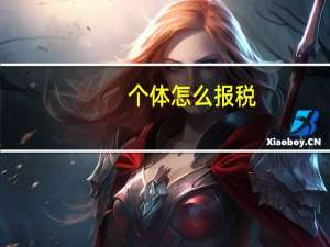个体怎么报税
