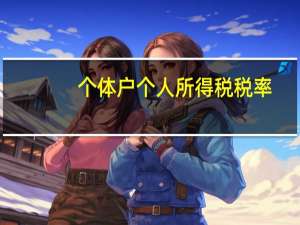 个体户个人所得税税率