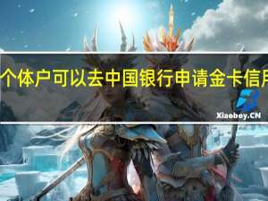 个体户可以去中国银行申请金卡信用卡吗