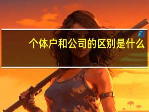 个体户和公司的区别是什么