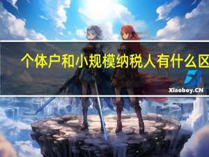 个体户和小规模纳税人有什么区别
