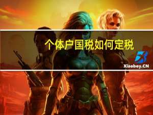 个体户国税如何定税