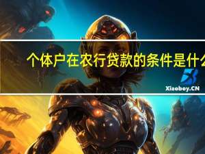 个体户在农行贷款的条件是什么