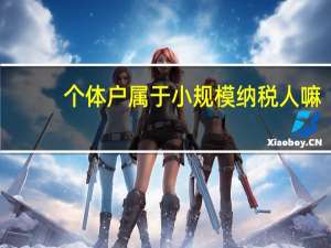 个体户属于小规模纳税人嘛