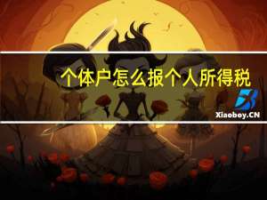 个体户怎么报个人所得税